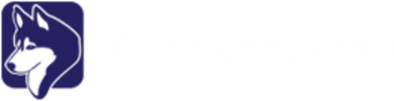 Task Huskey